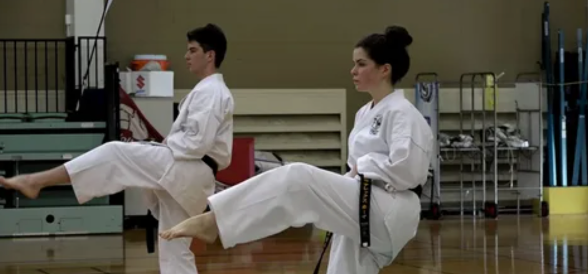 Удар ногой в  годзю-рю. Просто и эффективно. Фото из открытых источников.