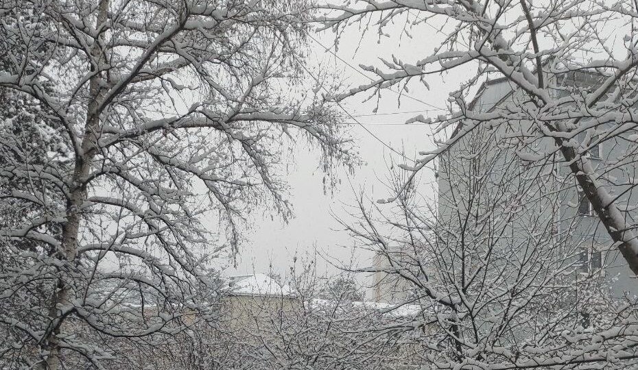 Экстренное предупреждение из-за штормового ветра и снега объявили в Забайкалье