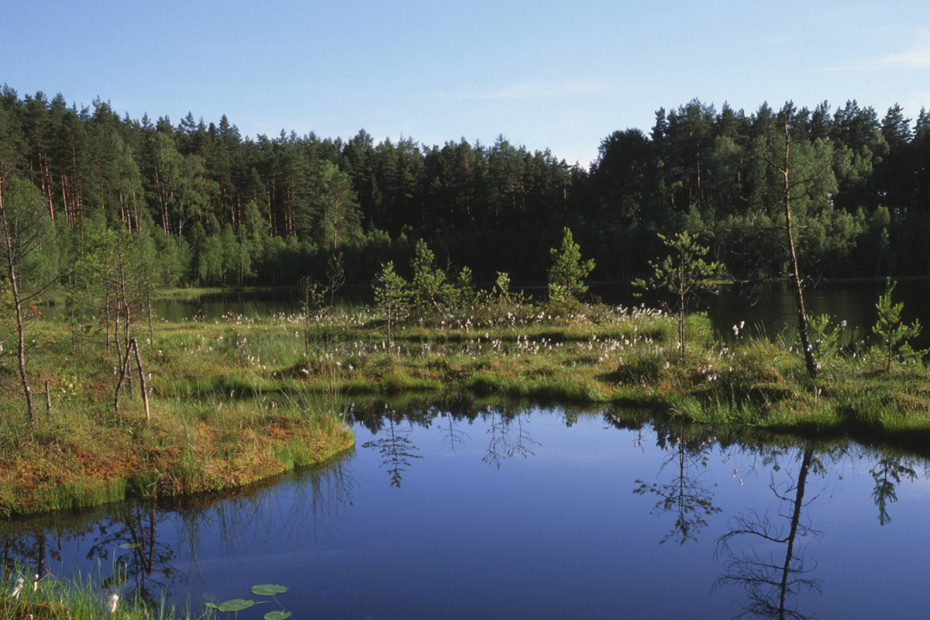    D. Mahlke/blickwinkel/Global Look Press