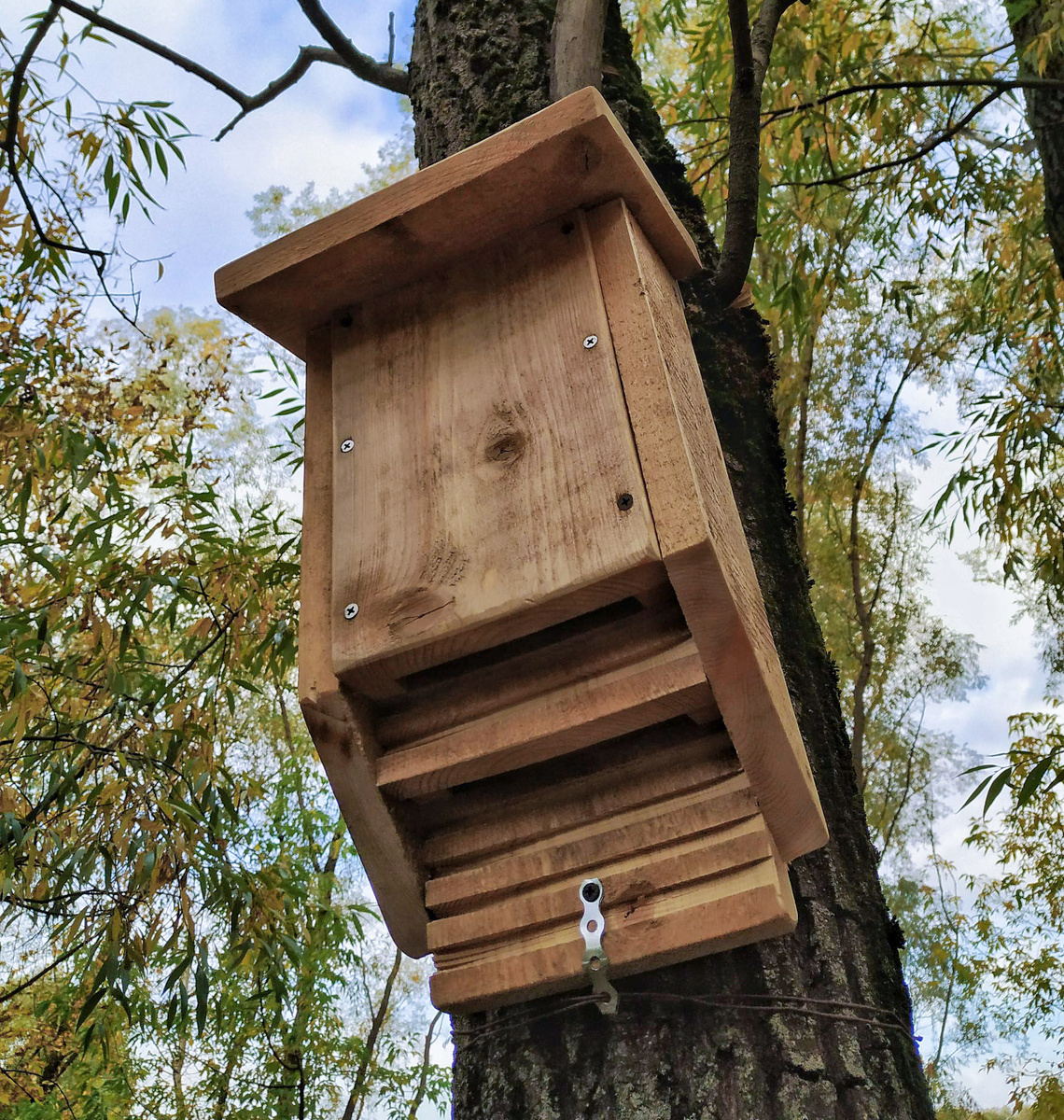 Домик для летучих мышей