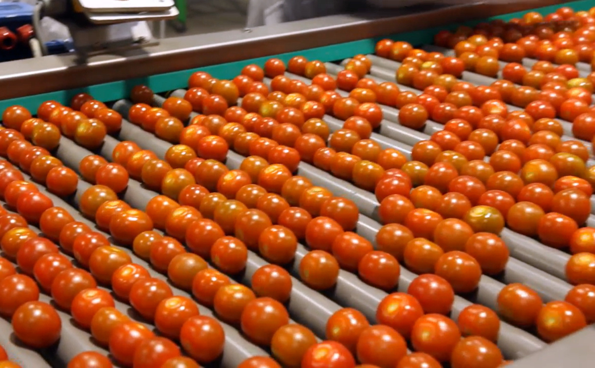 Фото: РБК Черноземье