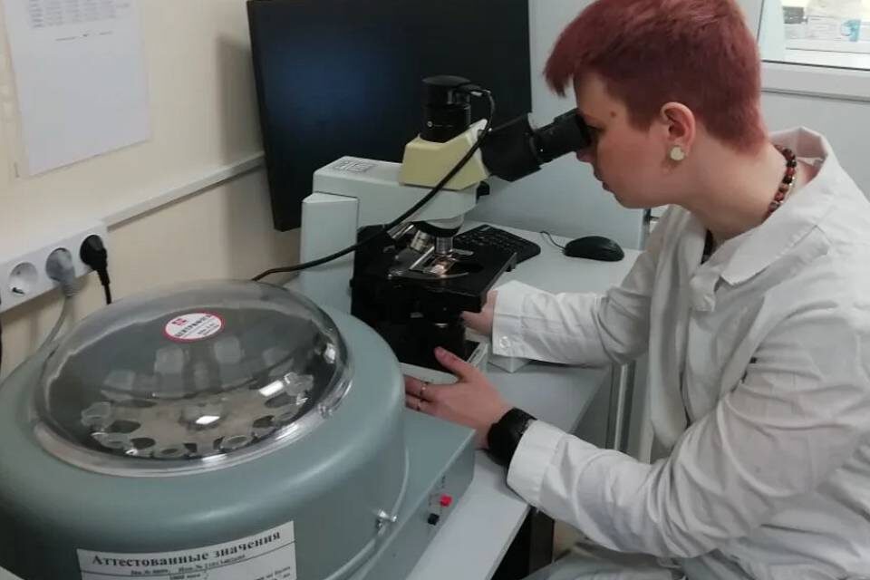    Фото: Волгоградский филиал ФГБУ «ЦОК АПК»