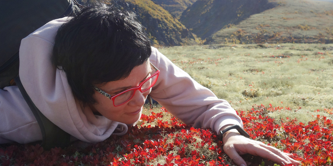 Шесть лет моему каналу «Душевный шагомер»: факты, цифры и эмоции