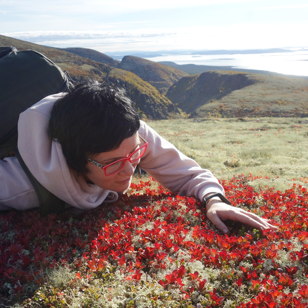 Помните Альдераан из «Звёздных войн» - родину принцессы Леи? Жителей этой планеты считали самыми миролюбивыми и утончёнными во всей Галактике. Они проповедовали экологичный образ жизни с минимальным вторжением в природу. 