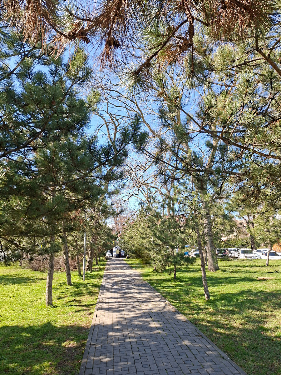 По дороге в поликлинику, день весенний-весенний