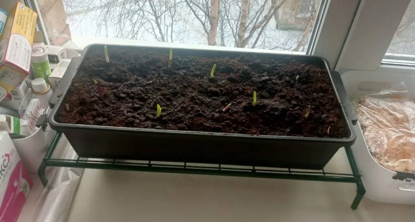    Автор фото - Анна Ефимова