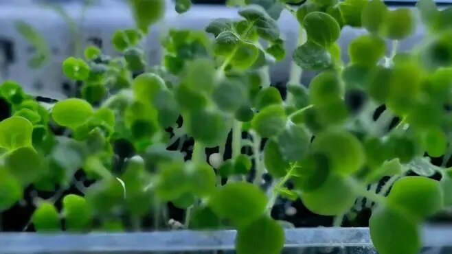 Фото: REGIONS/Наталья Надточая