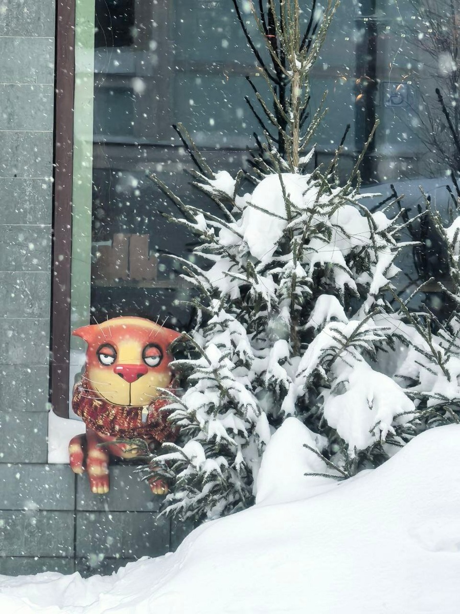 Прогулки в центре