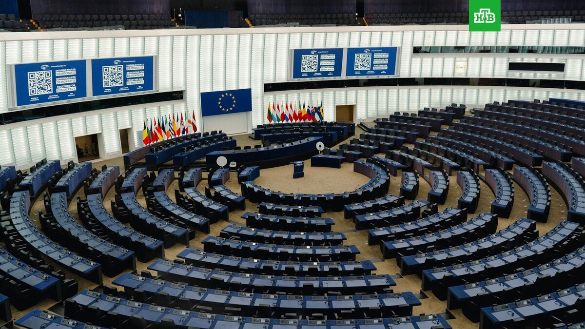    Фото: Nico Ruge / unsplash.com