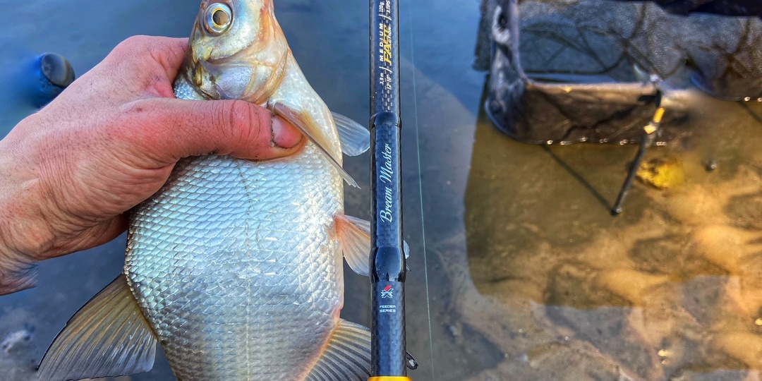 Пять весенних советов