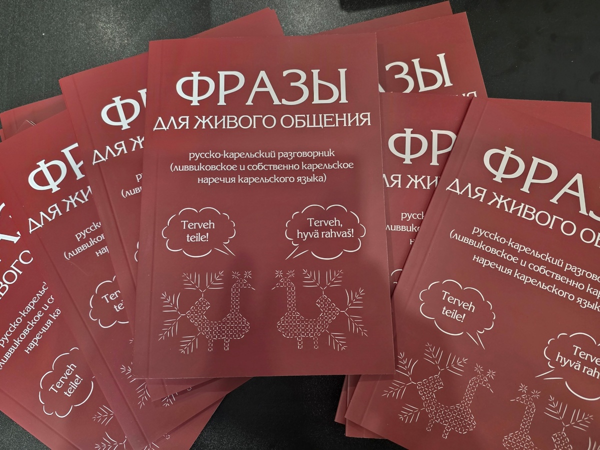 Фото: Миннац Карелии  📷
