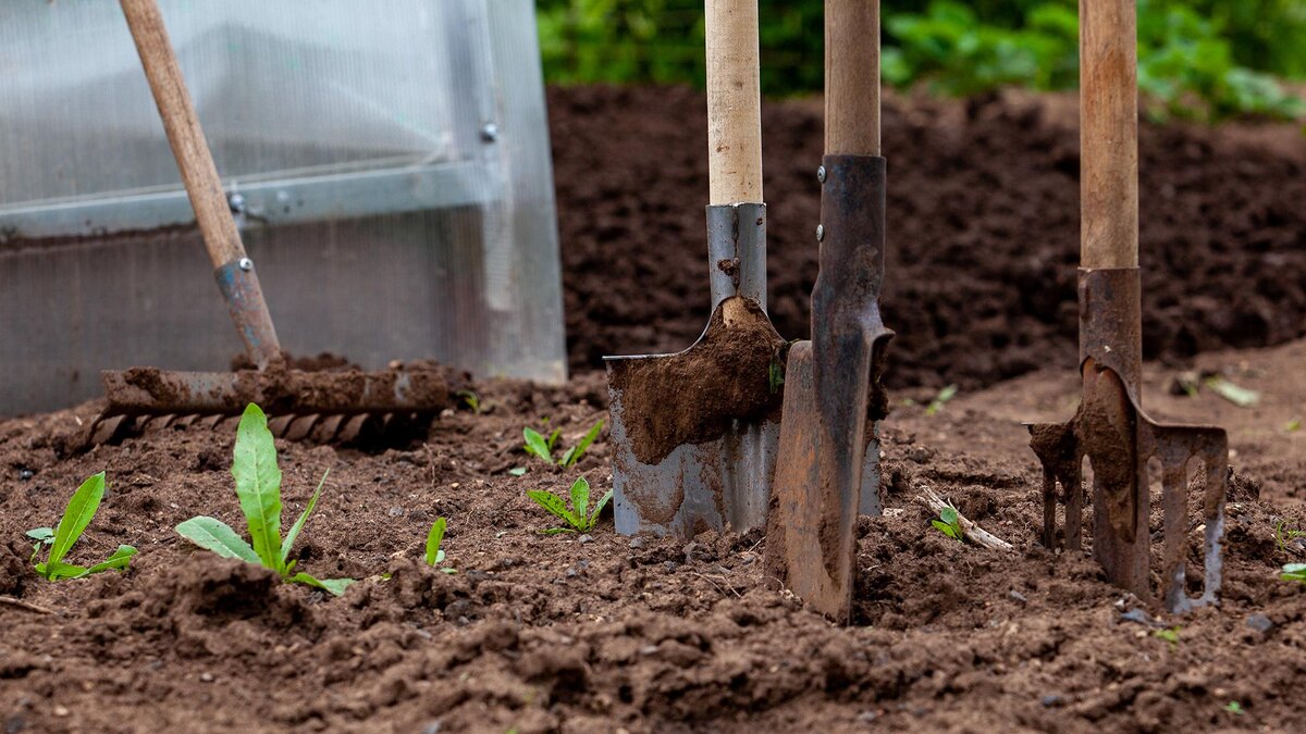 Фото: Oksana Korol/globallookpress.com