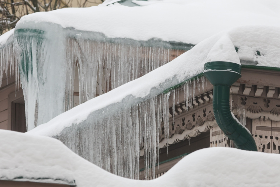    Наталья Шатохина/NEWS.ru