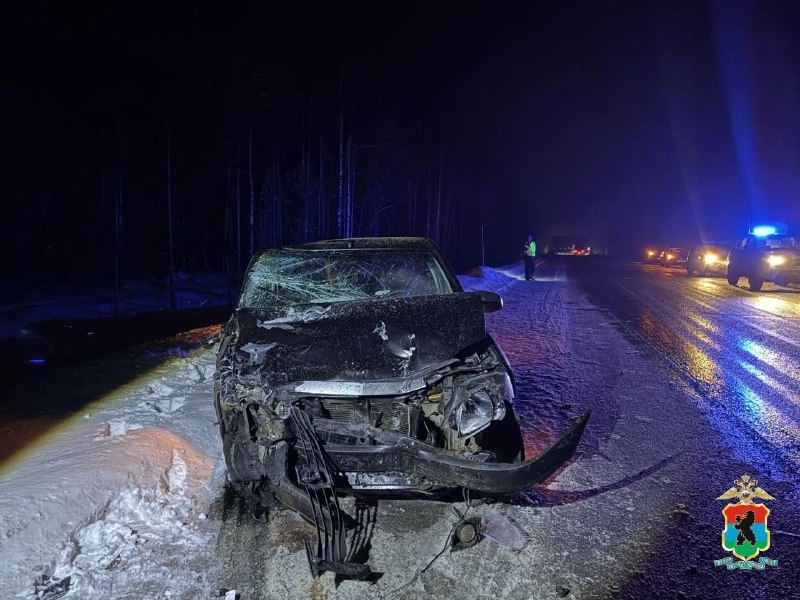    фото: © МВД Карелии