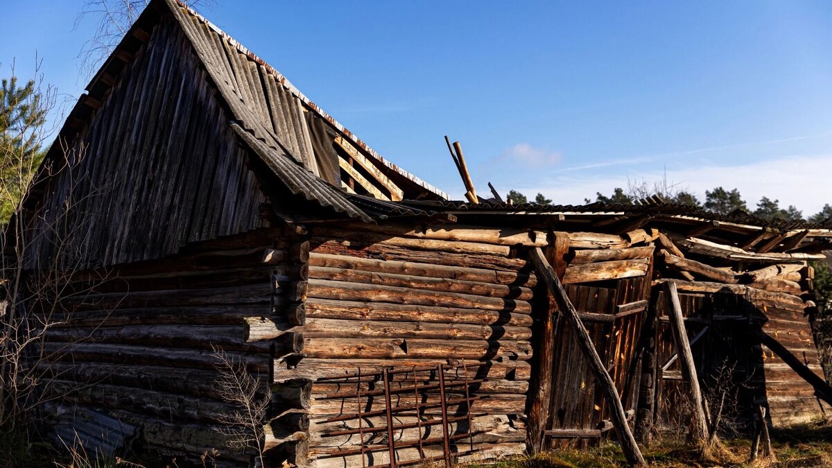    5 хуторов в Ростовской области, численность населения которых упало до нуля   freepik / freepik