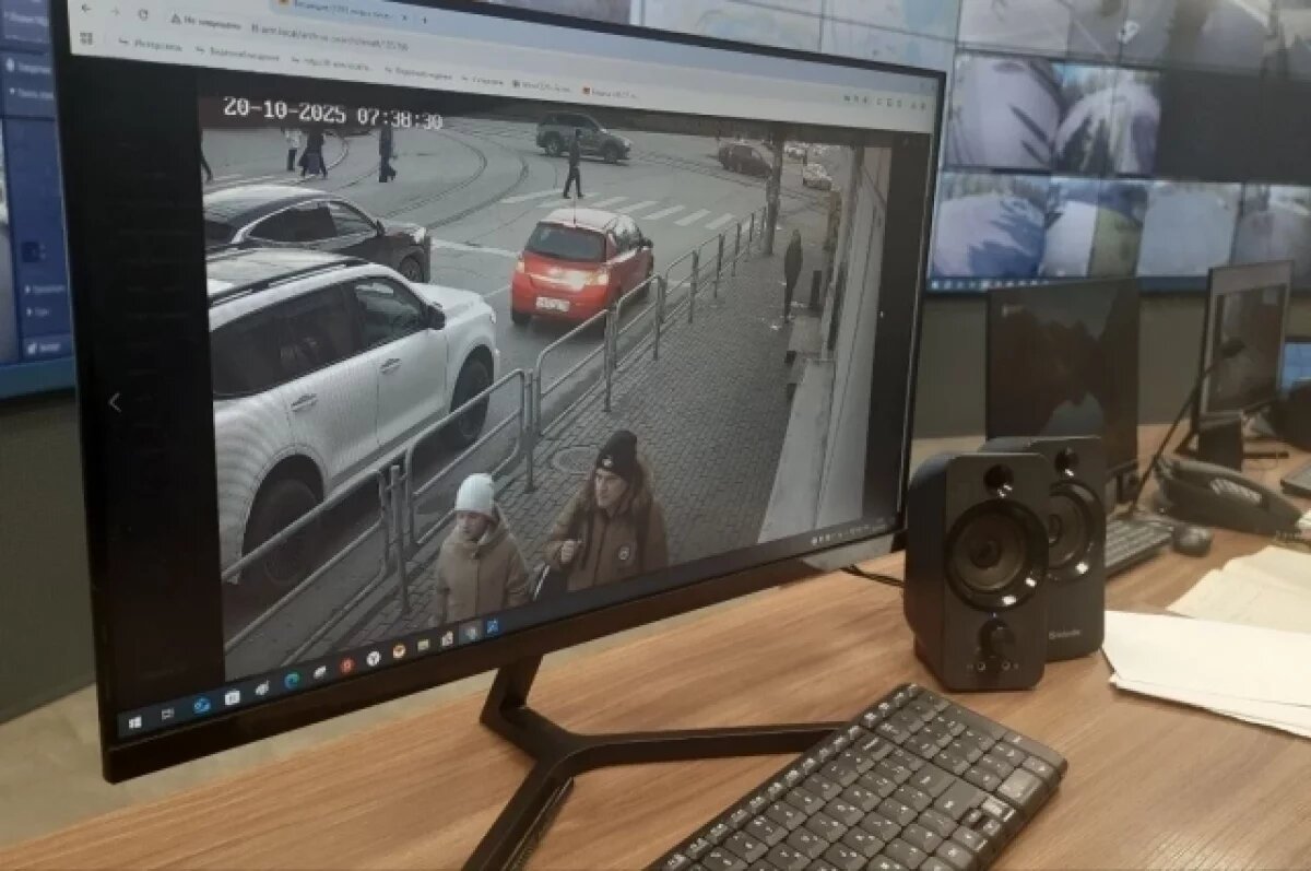    В Рязани установят IP-камеры и детекторы на 21 перекрестке за 43 млн рублей