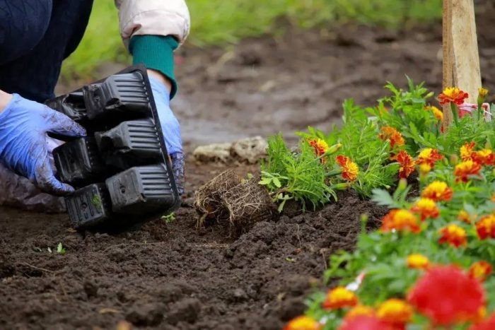 Фото из тг-канала мэра Максима Кудрявцева.