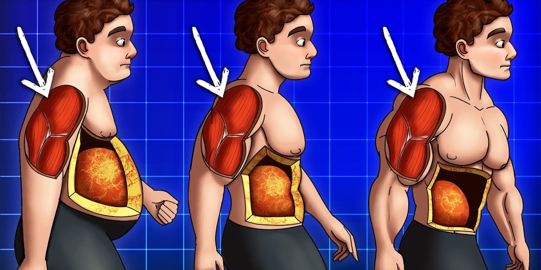 Метод, который поможет сжечь жир и сохранить мышечную массу