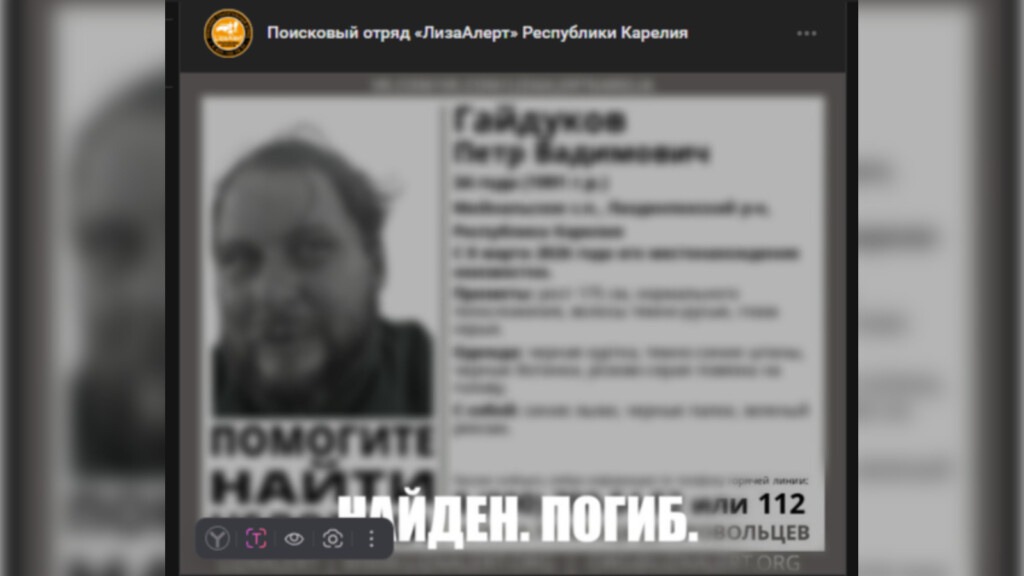    Фото: скриншот сообщества поискового отряда «ЛизаАлерт» по Республике Карелия