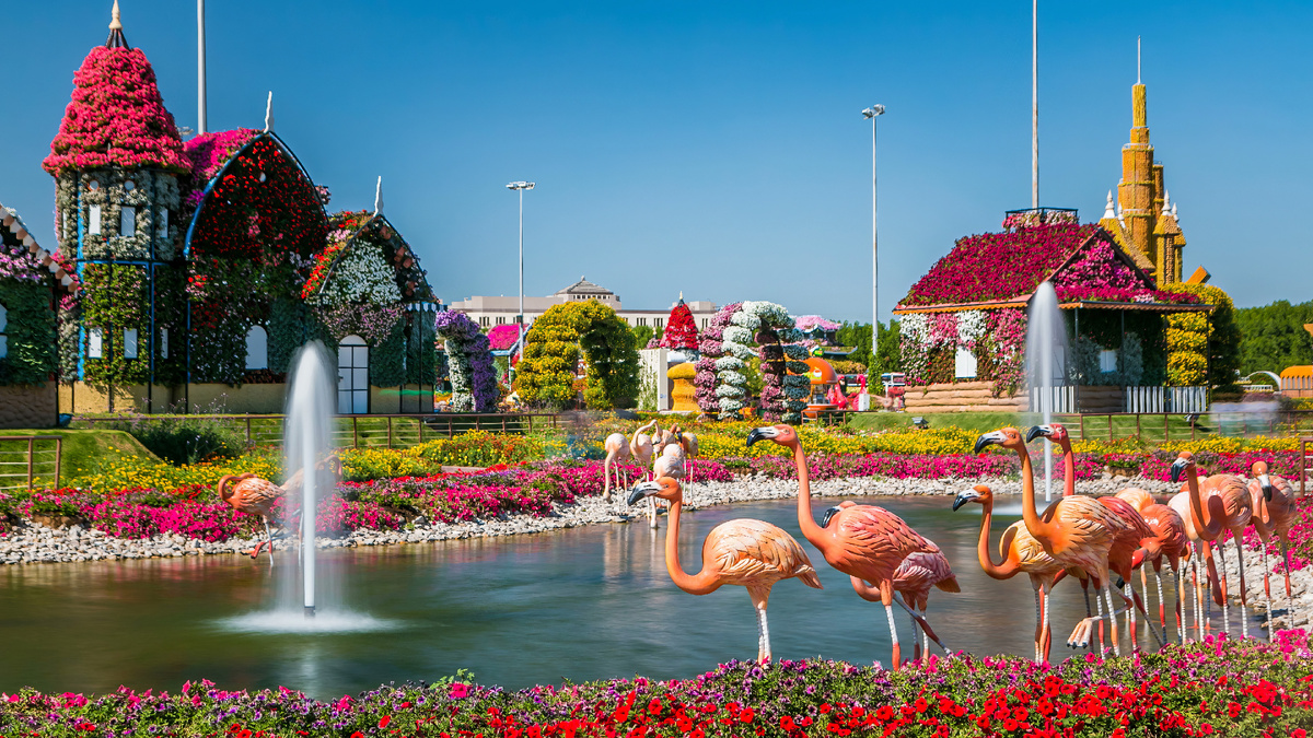 Dubai Miracle Garden - крупнейший в мире цветочный парк. Источник: Shutterstock