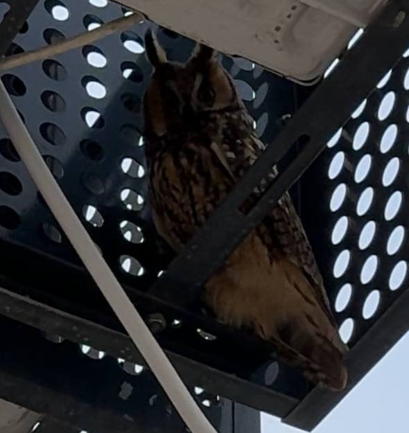    Фото: «Краснодарские известия»