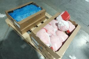    Фото: Региональный Россельхознадзор