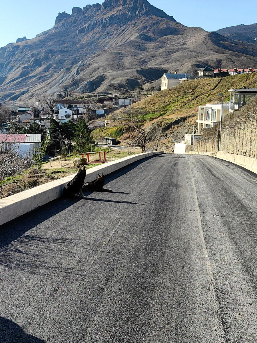 Сегодня. Фото автора канала