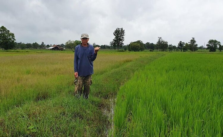    Фото: University of Queensland