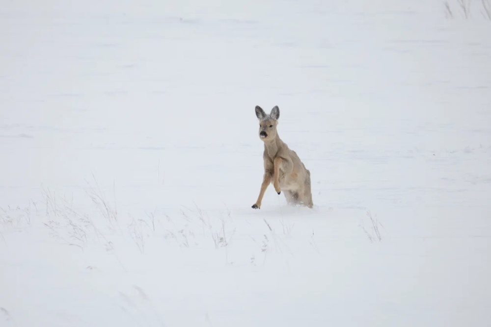     Фото: Татьяна Андреева/РГ