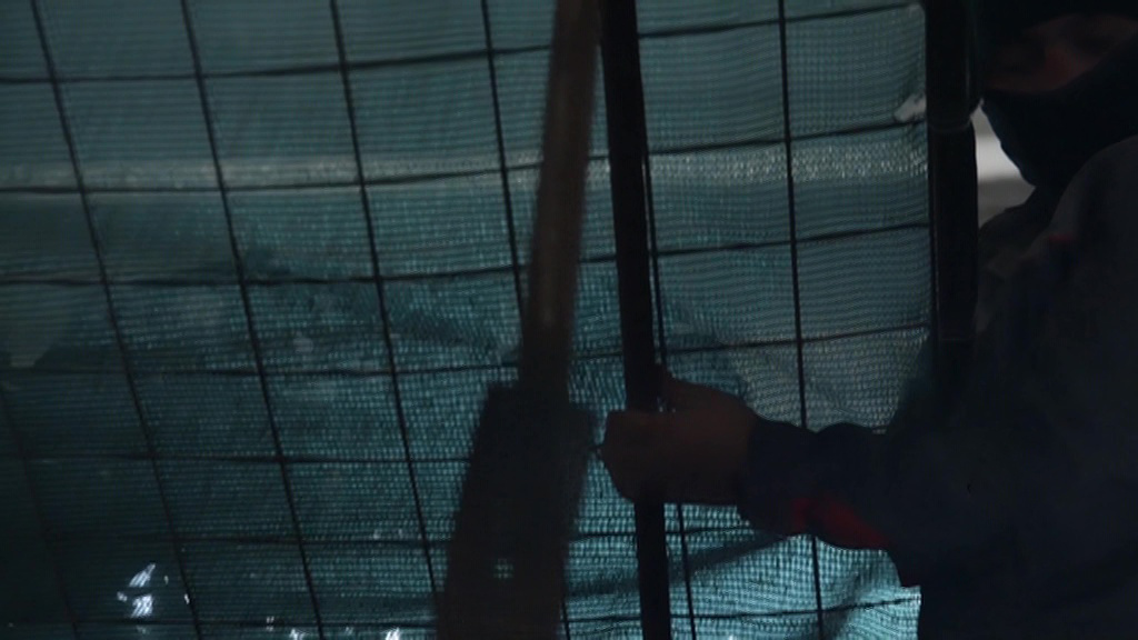    Новости. Антидроновые ловушки