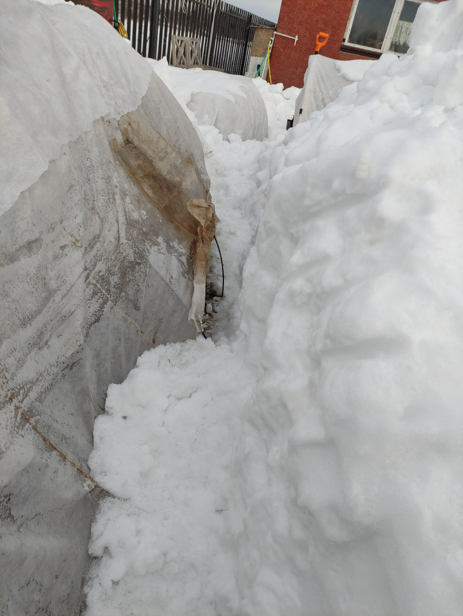 Здесь намело очень много снега, прокапала настоящую траншею) 