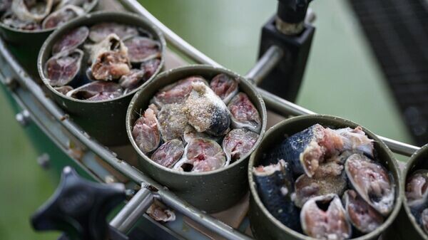    © Sputnik / Сергей Красноухов