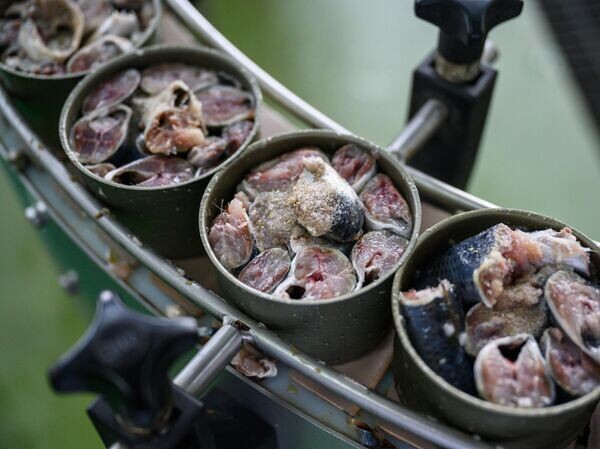 Беларусь стала крупнейшим импортером российских рыбных консервов