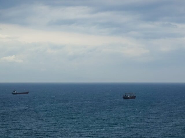    Фото: 123RF.com/tw65