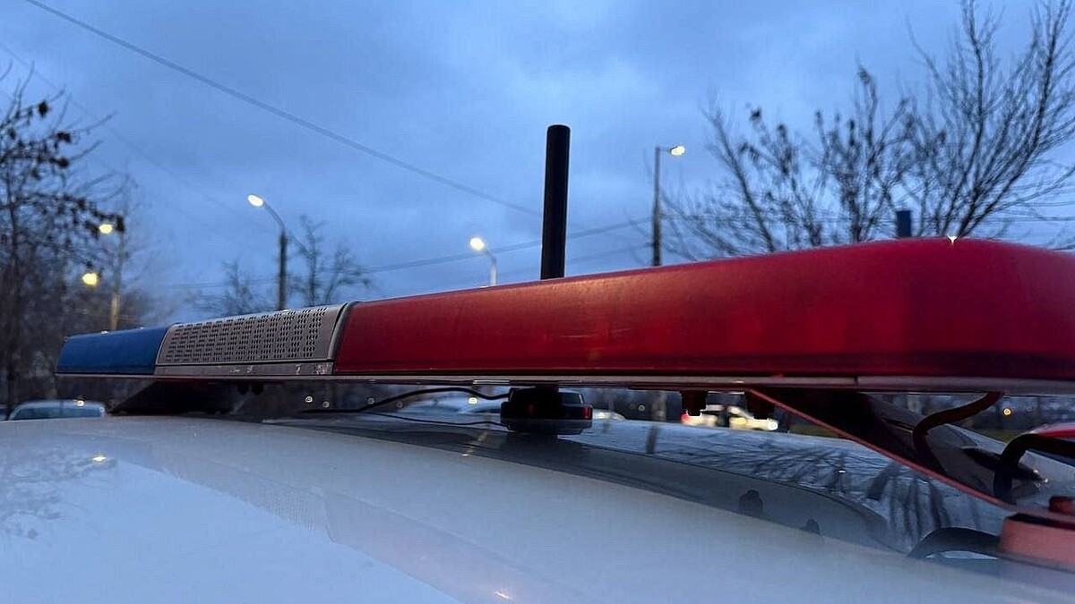    Фото: телеканал «Краснодар»