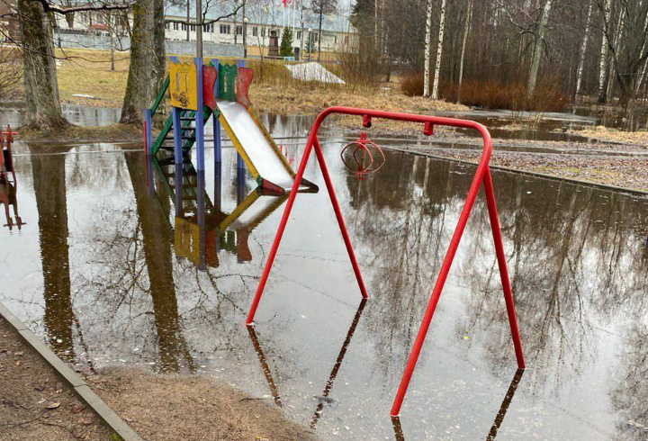 фото: @prok_lenobl