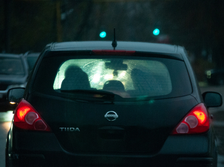     фото: Svetlana Vozmilova/Global Look Press/Global Look Press