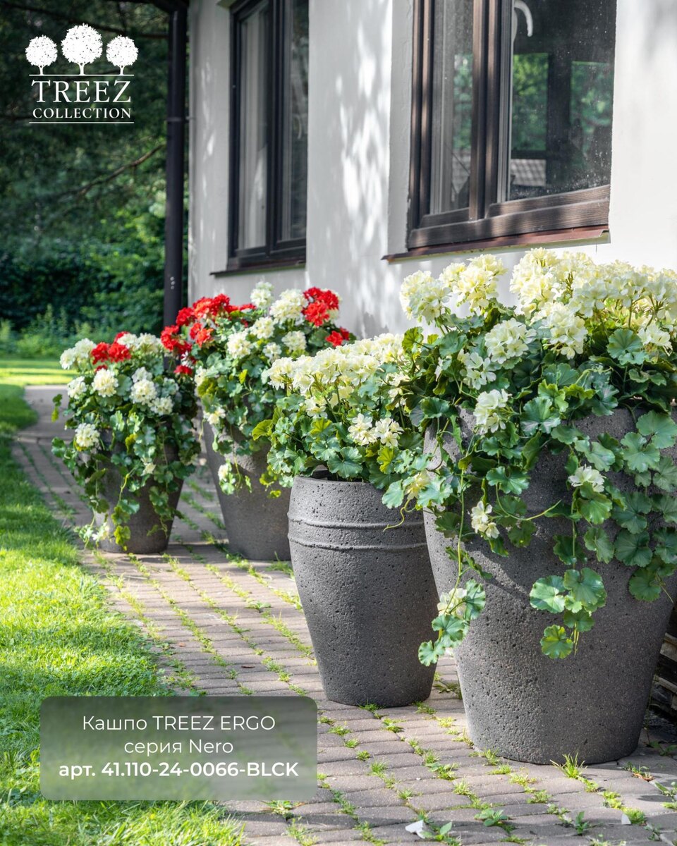 Кашпо и растения TREEZ Collection