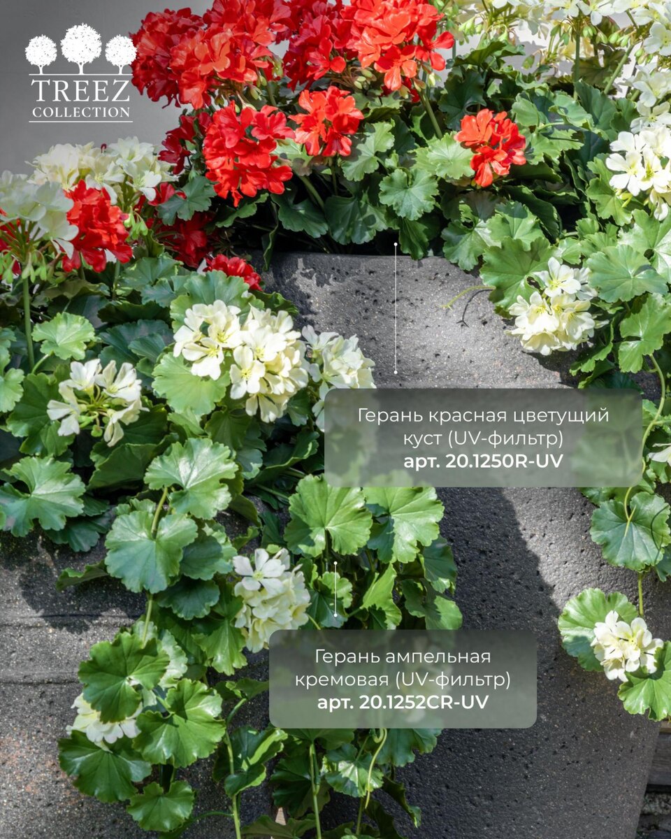 Кашпо и растения TREEZ Collection