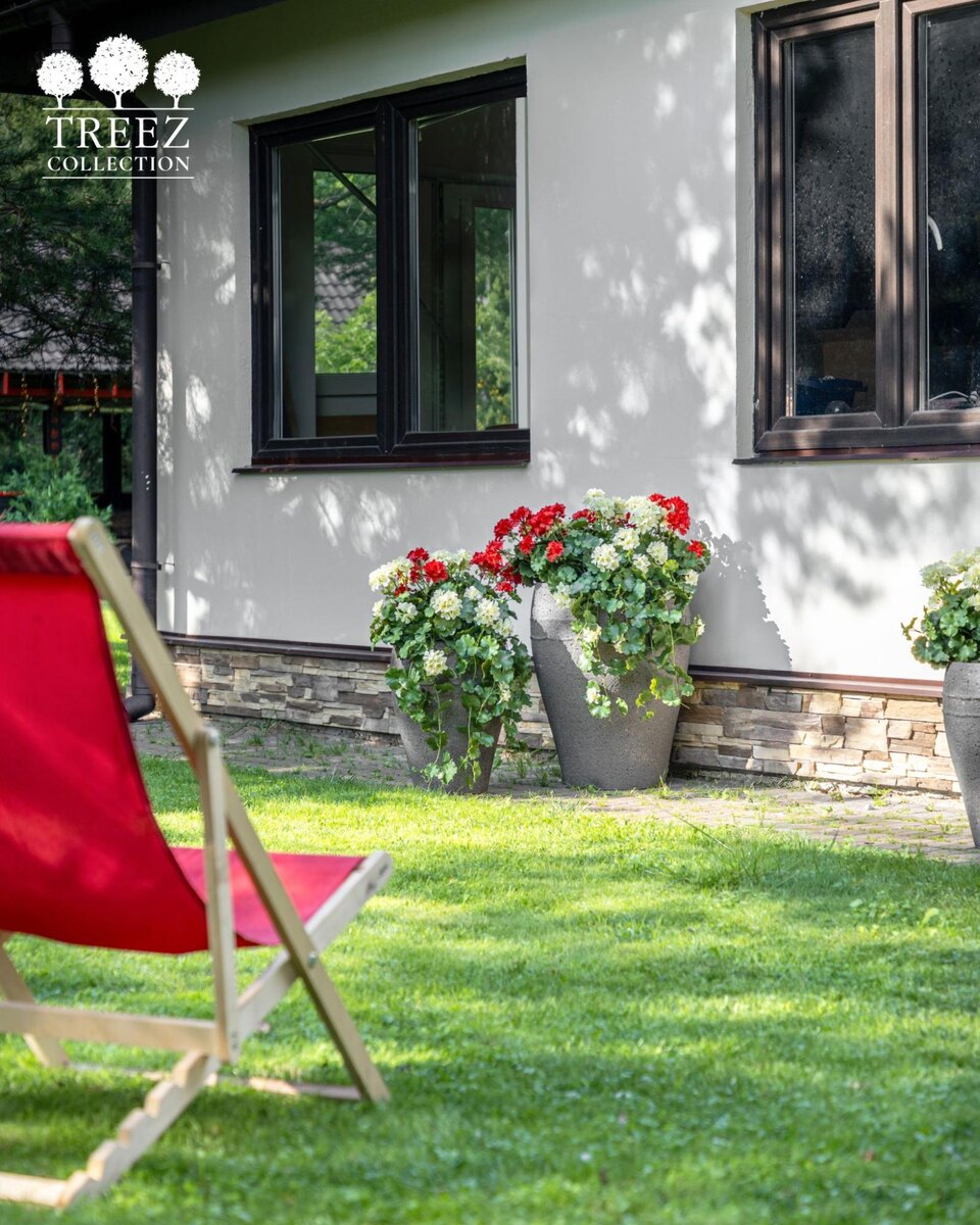 Кашпо и растения TREEZ Collection