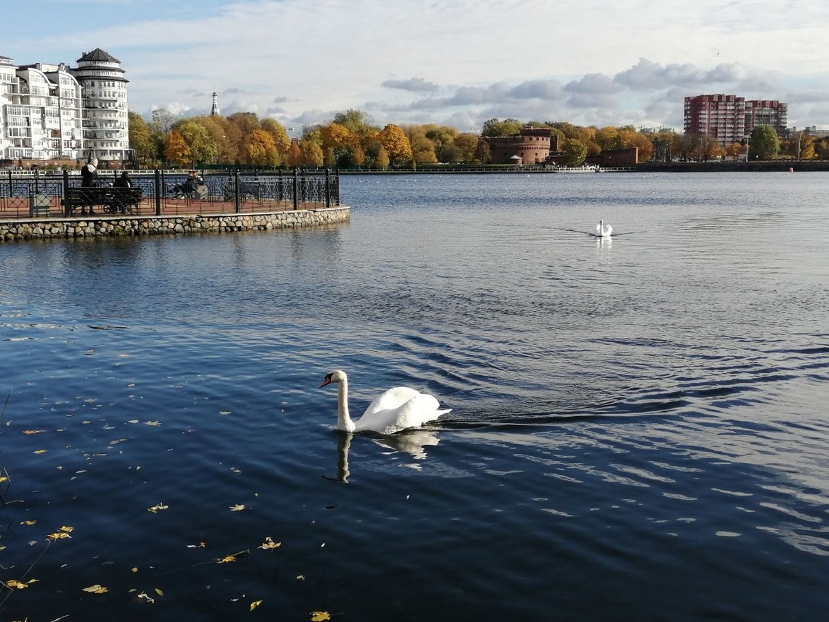 Рай на Земле) 