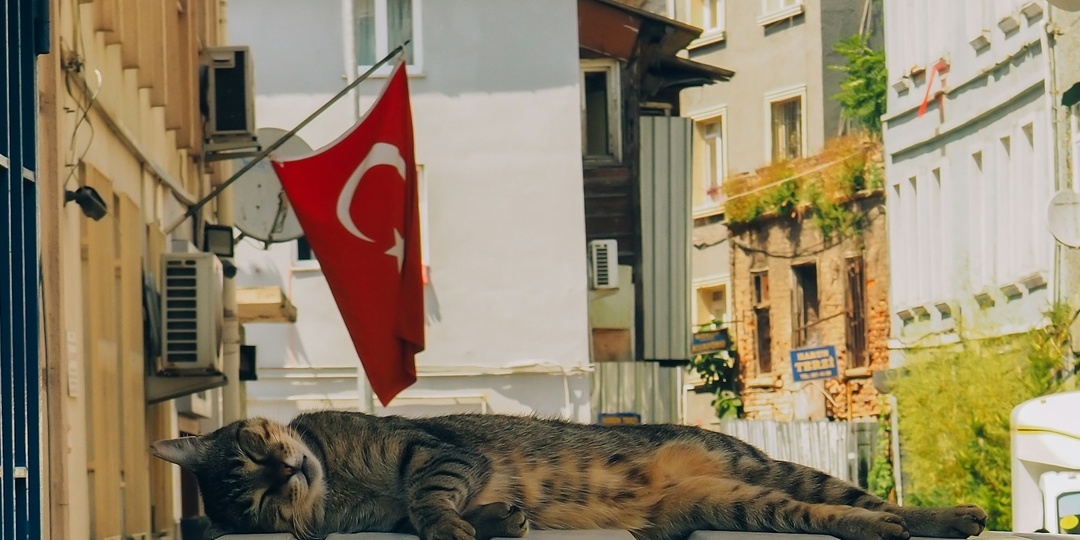 Не бронируйте Турцию, пока не прочитаете это