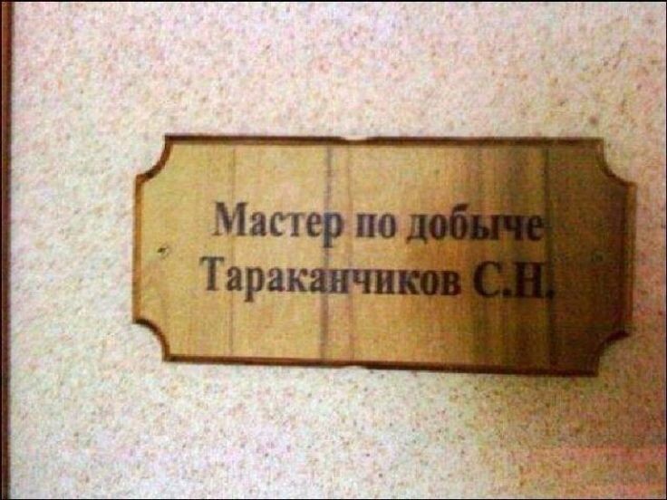 Фото: из открытых источников.