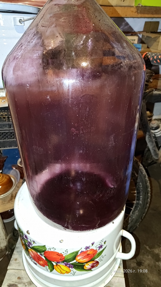 Молдова первое вино из сока.