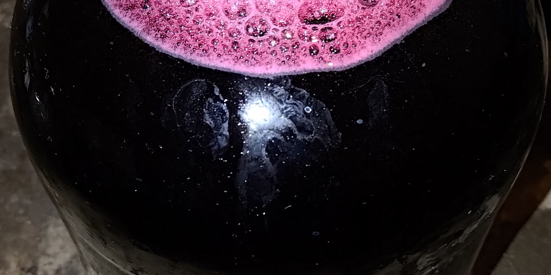 Домашние вина. Шестой месяц.