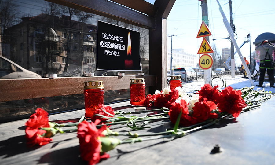    © Максим Блинов/РИА Новости