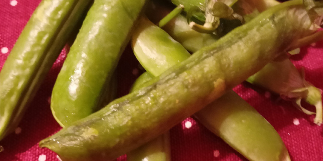 Ср. 11.03.26 г. Огород садила😉. Лёгкий супец. Горох 🫛, грибы 🍄‍🟫.