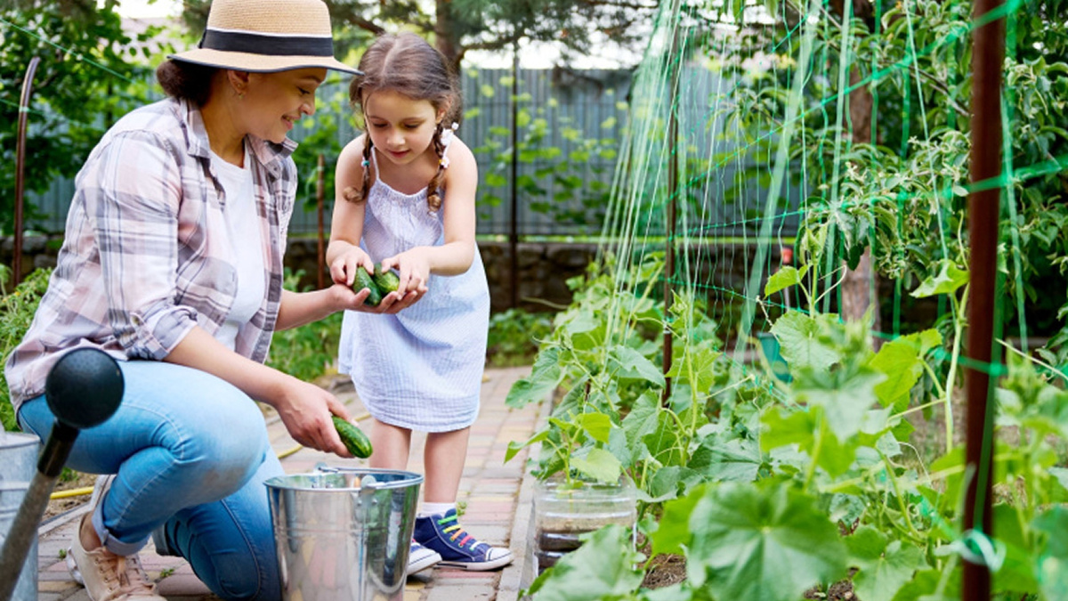 Если летом жители уезжают на дачи и мусора становится меньше, уменьшается норматив 