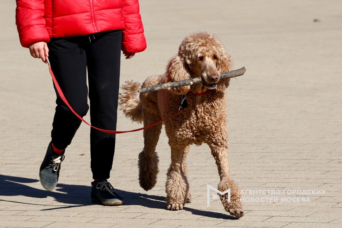 Фотограф: Ярослав Чингаев
