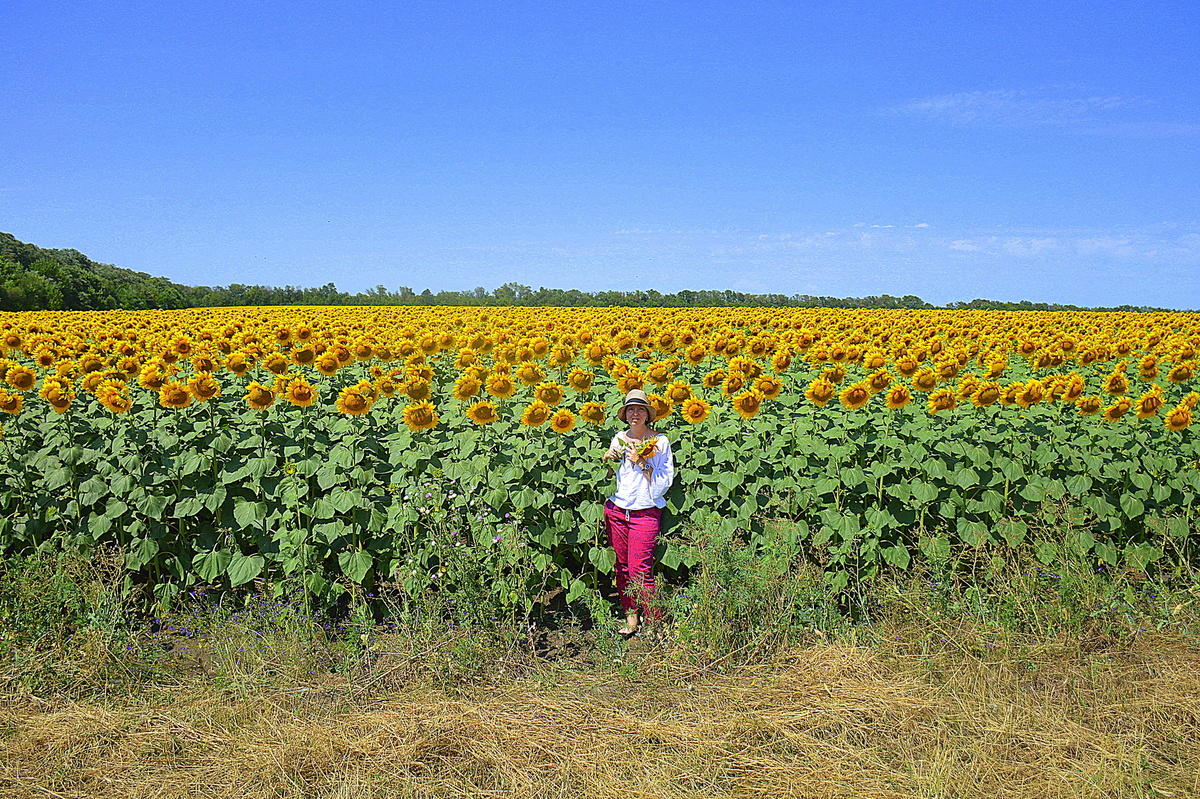 Остановка в пути. Где-то на Кубани